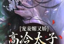 宠妾媚又娇,高冷太子为她失了魂小说全文哪里可以免费看?-红梅文学