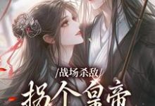 战场杀敌,拐个皇帝当男宠完整版小说,战场杀敌,拐个皇帝当男宠季姜顾雁行-红梅文学