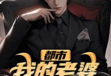 小说《都市:我的老婆是金牌杀手》在线章节阅读-红梅文学