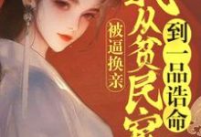 闻颜小说在线章节免费阅读(被逼换亲,我从贫民窟到一品诰命无弹窗无删减)-红梅文学