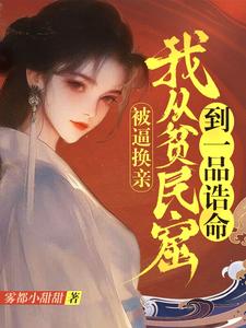 闻颜小说在线章节免费阅读（被逼换亲，我从贫民窟到一品诰命无弹窗无删减）