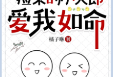 《捡来的小夫郎爱我如命》小说大结局免费试读 沈毅顾清小说-红梅文学