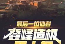 夏枫小说最后一位仙者,登峰造极五十年章节免费阅读-红梅文学