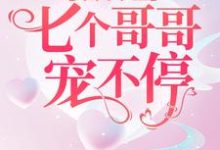 豪门千金:七个哥哥宠不停免费阅读,豪门千金:七个哥哥宠不停章节目录-红梅文学