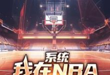 系统:我在NBA把把都超神小说最新更新在哪里?免费在线看-红梅文学