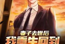 吴为完整版《妻子去世后，我重生回到高考那年》小说免费阅读-红梅文学