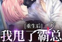 已完结小说《重生后，我甩了霸总享单身夜》章节免费阅读-红梅文学