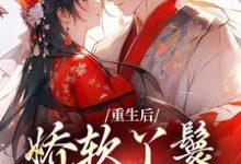 重生后,娇软丫鬟被雄竞了这本小说完结了吗?免费查看最新章节-红梅文学