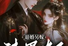 沈晚谢景渊小说退婚另嫁,渣男太子怎么跪了章节免费阅读-红梅文学