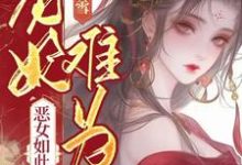 小说《宠妃难为,恶女如此多娇》完整版章节免费阅读-红梅文学