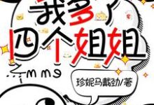 小说《老爸二婚女总裁,我多了四个姐姐》完整版在线章节免费阅读-红梅文学