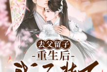 去父留子,重生后我不装了小说有没有完整的免费版本在线阅读?-红梅文学