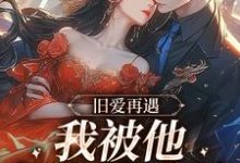 已完结小说《旧爱再遇,我被他钉在表白墙》最新章节-红梅文学