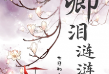 小说《卿泪涟涟》完整版章节免费阅读-红梅文学