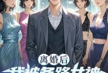 寻找能够免费阅读离婚后我被各路女神撩疯了！小说的平台-红梅文学