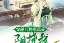小说完整版《穿越后将军总爱阻挠我发家致富》免费阅读-红梅文学