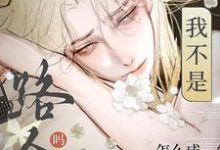 池星小说免费阅读完整版-红梅文学