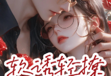 完结版《软诱,轻撩》章节阅读-红梅文学
