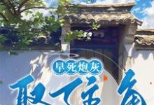 求早死炮灰娶了主角做夫郎之后小说的全文免费阅读链接-红梅文学