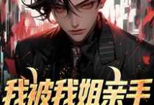 我被我姐亲手送进夜总会小说无弹窗阅读的网站推荐-红梅文学