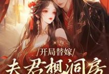 开局替嫁,夫君想洞房先交一千两小说最新章节在哪里可以读到?-红梅文学