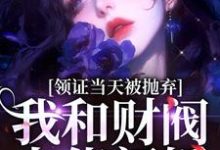 小说《领证当天被抛弃,我和财阀大佬闪婚》完整版在线章节免费阅读-红梅文学