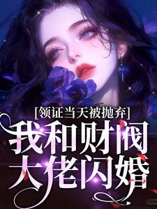 小说《领证当天被抛弃，我和财阀大佬闪婚》完整版在线章节免费阅读
