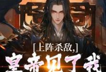 朱枫朱元璋小说免费阅读完整版-红梅文学