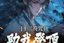 十二符咒助我登顶仙界巅峰苏青山白一鸣在线章节免费阅读-红梅文学