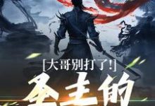 大哥别打了!圣主的心都碎了陈寻小说完结版章节在线阅读-红梅文学