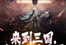来到三国,这乱世我来平小说无弹窗阅读的网站推荐-红梅文学