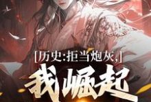 小说完整版《历史:拒当炮灰,我崛起收复河山》免费阅读-红梅文学