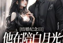 宋晚婉顾廷舟小说完结版在线阅读,结婚纪念日,他在陪白月光烛光晚餐免费看-红梅文学