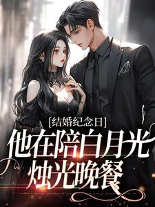 宋晚婉顾廷舟小说完结版在线阅读，结婚纪念日，他在陪白月光烛光晚餐免费看