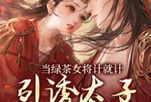 当绿茶女将计就计,引诱太子沦陷后小说全文哪里可以免费看?-红梅文学
