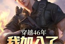 完结版《穿越46年,我加入了人民的队伍》章节目录在线阅读-红梅文学