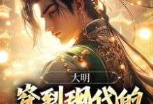 大明:穿到现代的朱元璋玩疯了朱雄英小说免费阅读-红梅文学