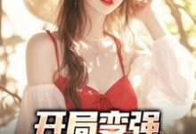 开局变强,开局自在表白石长安小说在线章节免费阅读-红梅文学
