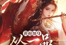 《黄袍加身,从一品侯爵开始》卫小宝韦小宝完整版小说免费阅读-红梅文学