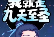 《身怀灵石，我就是九天至圣》小说免费阅读完整版-红梅文学