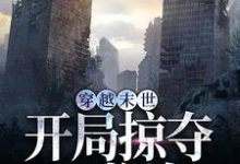 穿越末世,开局掠夺S 物资免费阅读,穿越末世,开局掠夺S 物资林寻-红梅文学