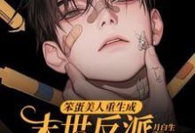 《笨蛋美人重生成末世反派的男友后》完整版小说免费阅读-红梅文学