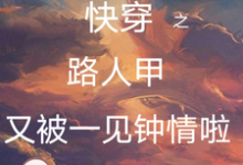 求推荐可以免费阅读快穿之路人甲又被一见钟情啦小说的网站-红梅文学
