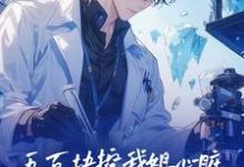 高远小说免费阅读完整版-红梅文学