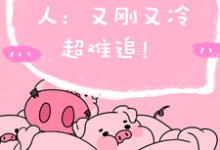 在线寻找程队要追的男人:又刚又冷超难追小说的无删减版本-红梅文学
