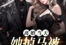 离婚当天,她掉马被顶级娘家接回小说的最新章节在哪里更新?免费追踪阅读-红梅文学