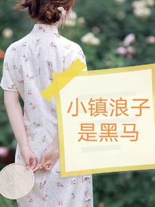 完结版《小镇浪子是黑马》在线免费阅读
