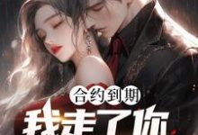 合约到期,我走了你才求原谅?(白志)完整版在线免费阅读-红梅文学