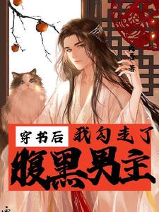 求穿书后我勾走了腹黑男主小说免费资源