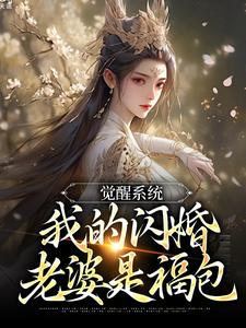 《觉醒系统，我的闪婚老婆是福包》叶孤江怜儿小说免费阅读完整版